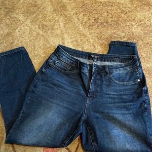Judy Blue High Rise Skinny